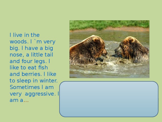I live in the woods. I `m very big. I have a big nose, a little tail and four legs. I like to eat fish and berries. I like to sleep in winter. Sometimes I am very aggressive. I am a …
