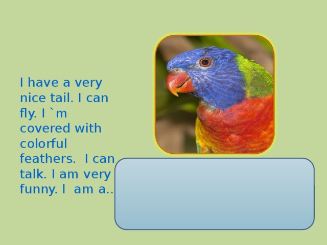 I have a very nice tail. I can fly. I `m covered with colorful feathers. I can talk. I am very funny. I am a..