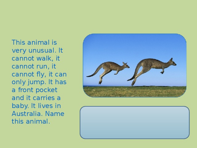 This animal is very unusual. It cannot walk, it cannot run, it cannot fly, it can only jump. It has a front pocket and it carries a baby. It lives in Australia. Name this animal.