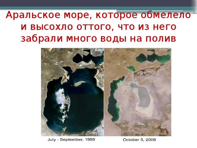 Аральское море, которое обмелело и высохло оттого, что из него забрали много воды на полив хлопка