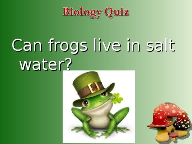 Can frogs live in salt water?