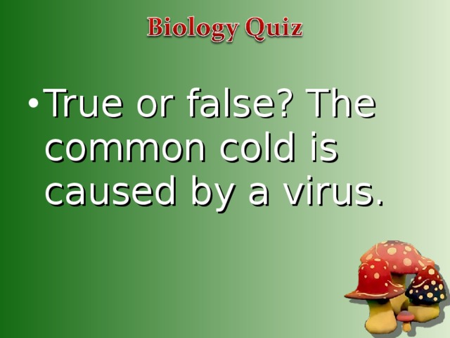 True or false? The common cold is caused by a virus.