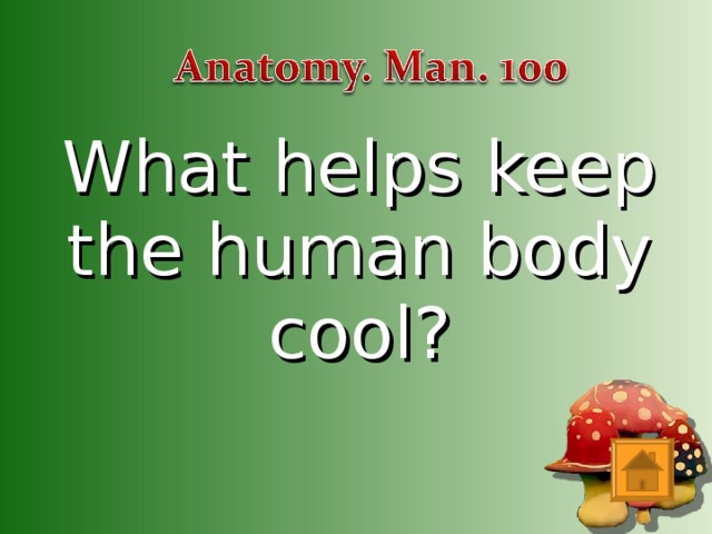 What helps keep the human body cool?