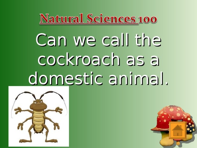 Can we call the cockroach as a domestic animal.