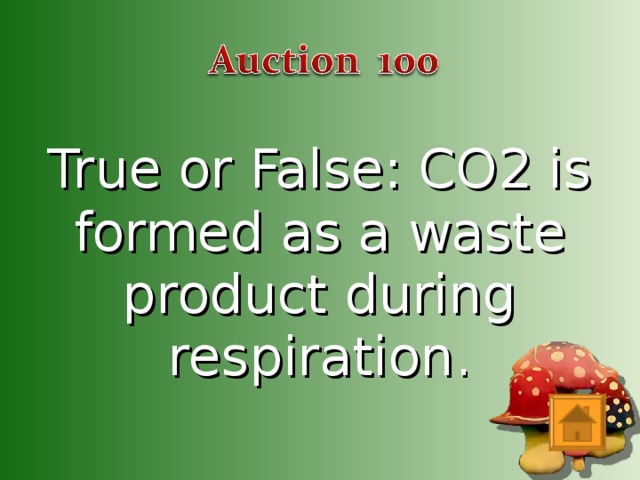 True or False: CO2 is formed as a waste product during respiration.