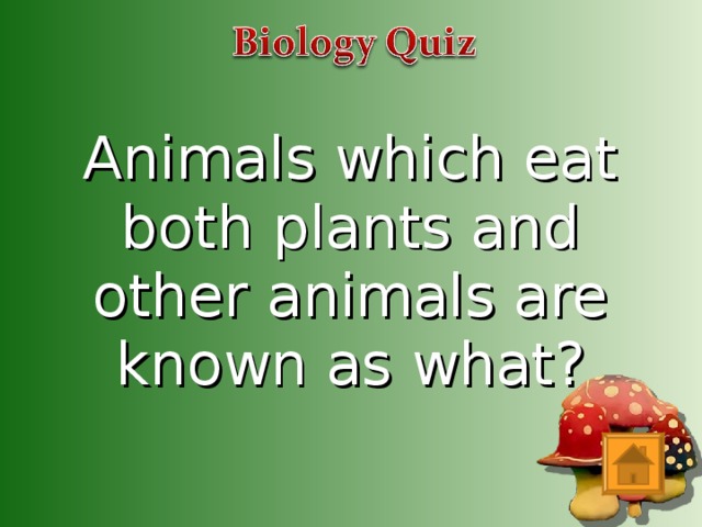 Animals which eat both plants and other animals are known as what?