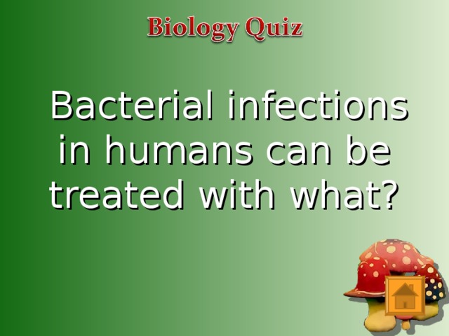 Bacterial infections in humans can be treated with what?