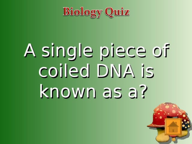 A single piece of coiled DNA is known as a?