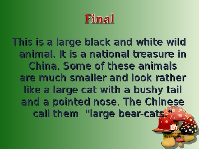 This is a large black and white wild animal. It is a national treasure in China. Some of these animals are much smaller and look rather like a large cat with a bushy tail and a pointed nose. The Chinese call them 