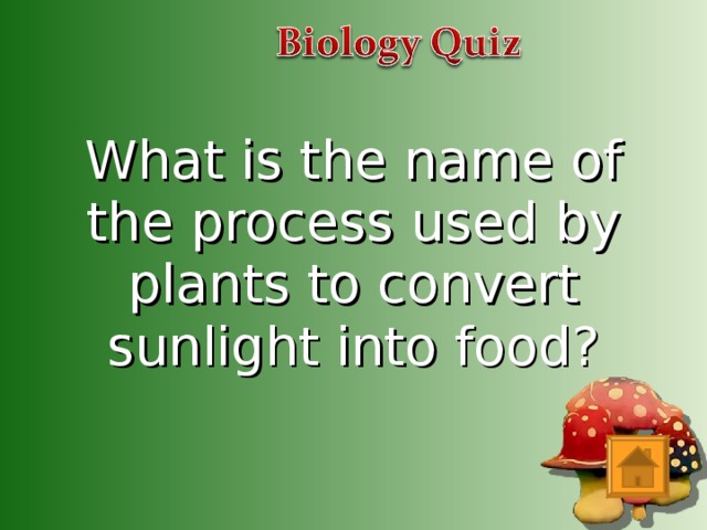 What is the name of the process used by plants to convert sunlight into food?