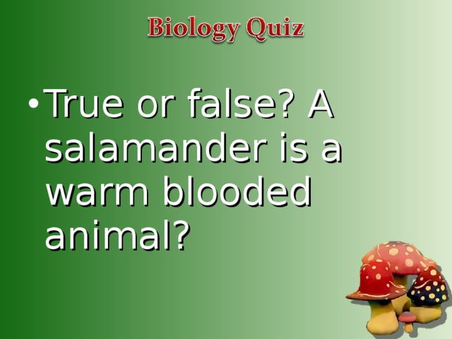True or false? A salamander is a warm blooded animal?