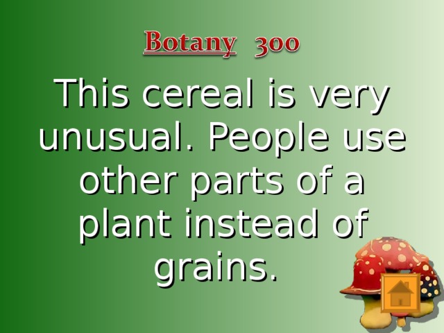 This cereal is very unusual. People use other parts of a plant instead of grains.