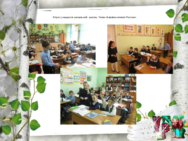 Опрос учащихся начальной школы. Тема:«Берёза-символ России».