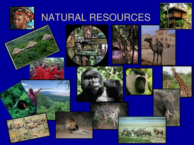 NATURAL RESOURCES