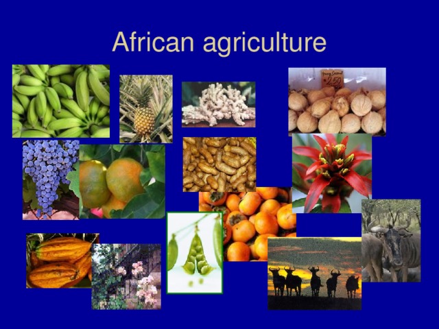 African agriculture