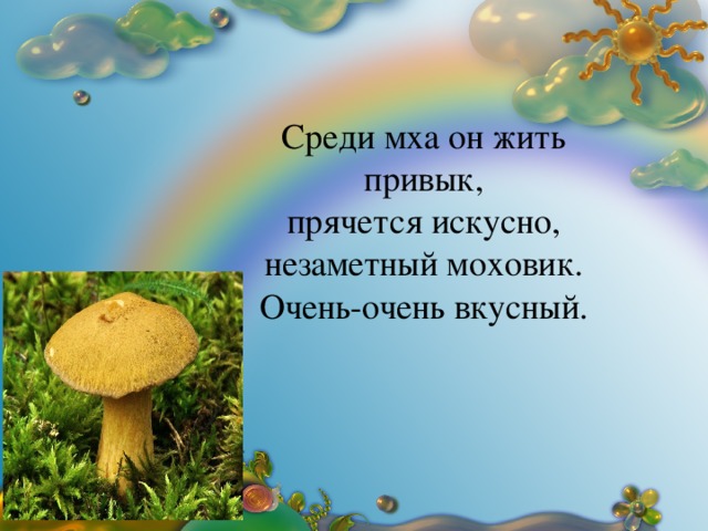 Среди мха он жить привык, прячется искусно, незаметный моховик. Очень-очень вкусный.