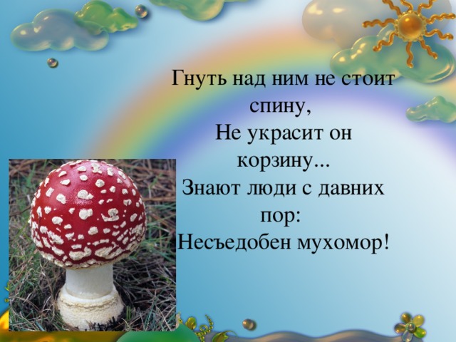 Гнуть над ним не стоит спину, Не украсит он корзину... Знают люди с давних пор: Несъедобен мухомор!