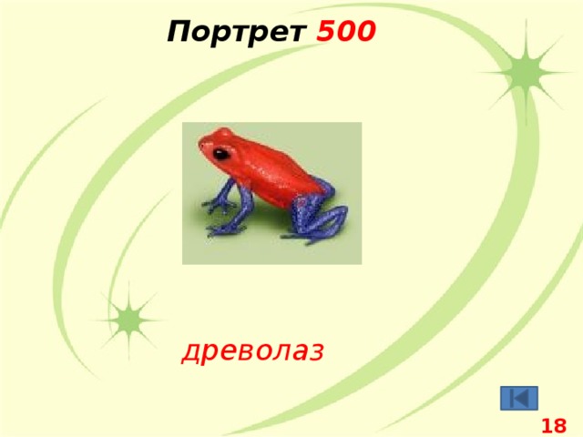 Портрет 500 древолаз