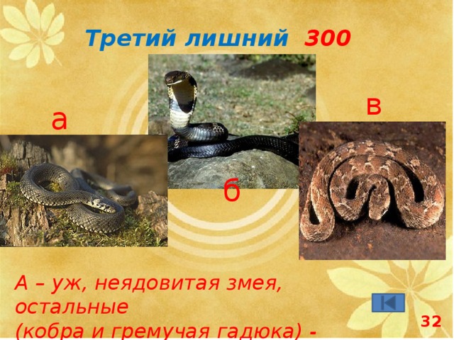 Третий лишний 300 в а б А – уж, неядовитая змея, остальные (кобра и гремучая гадюка) - ядовитые