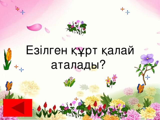 Езілген құрт қалай аталады?