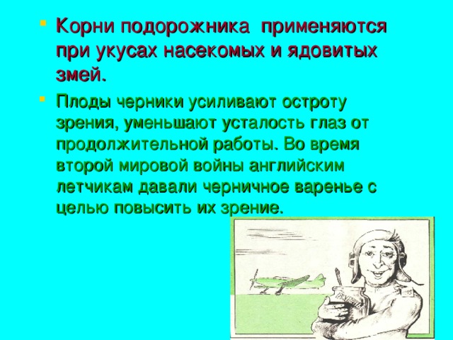 Корни подорожника применяются при укусах насекомых и ядовитых змей. Плоды черники усиливают остроту зрения, уменьшают усталость глаз от продолжительной работы. Во время второй мировой войны английским летчикам давали черничное варенье с целью повысить их зрение.