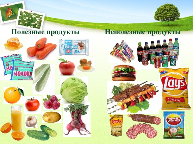 Продукты полезные для здоровья картинки для детей