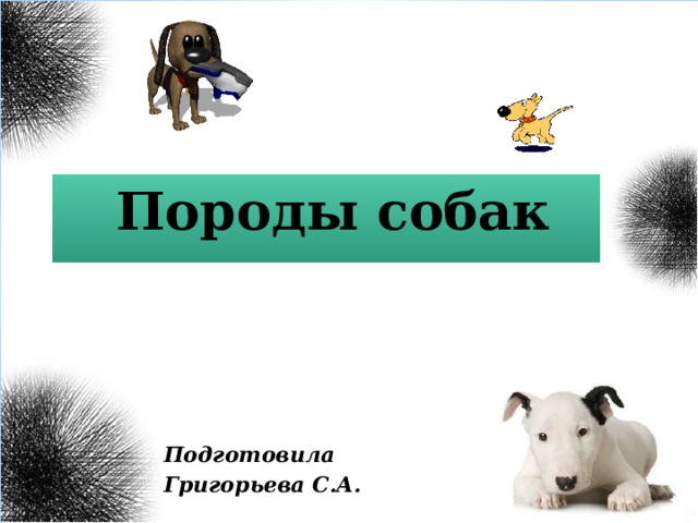 Породы собак Подготовила Григорьева С.А.