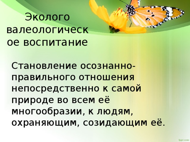 Эколого валеологическое воспитание Становление осознанно-правильного отношения непосредственно к самой природе во всем её многообразии, к людям, охраняющим, созидающим её.