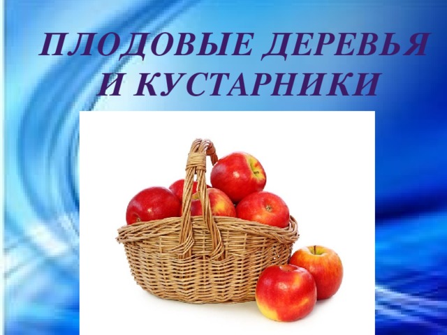 Плодовые деревья И кустарники