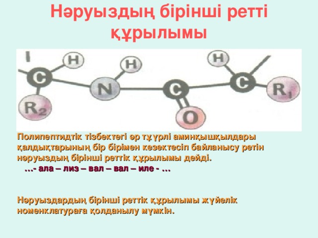 Нәруыздың бірінші ретті құрылымы Полипептидтік тізбектегі әр тұүрлі аминқышқылдары қалдықтарының бір бірімен кезектесіп байланысу ретін нәруыздың бірінші реттік құрылымы дейді.  … - ала – лиз – вал – вал – иле - …    Нәруыздардың бірінші реттік құрылымы жүйелік номенклатураға қолданылу мүмкін.