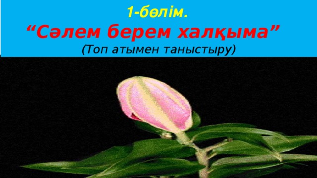 1-бөлім.  “ Сәлем берем халқыма” (Топ атымен таныстыру)