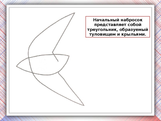 Начальный набросок представляет собой треугольник, образуемый туловищем и крыльями.