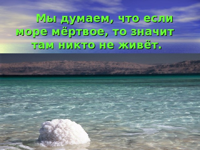 Мы думаем, что если море мёртвое, то значит там никто не живёт.