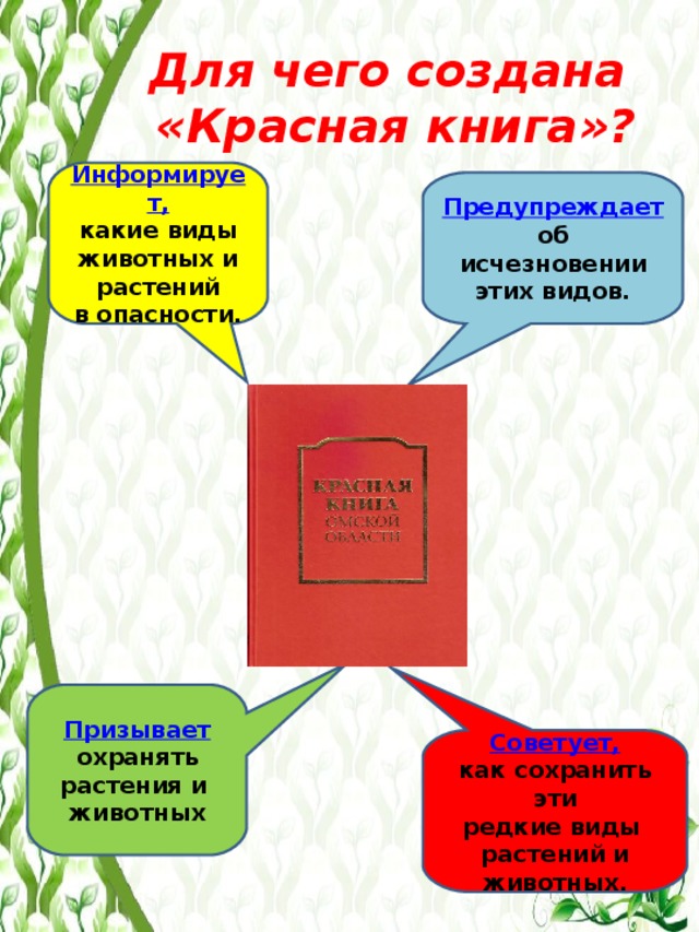 Для чего создана  «Красная книга»?  Информирует, какие виды животных и растений в опасности.  Предупреждает об исчезновении этих видов. Призывает охранять растения и животных Советует, как сохранить эти редкие виды растений и животных.