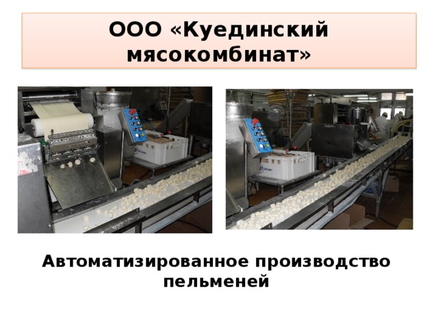 ООО «Куединский мясокомбинат» Автоматизированное производство пельменей