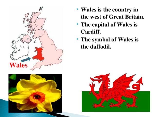 Wales is the country in the west of Great Britain. The capital of Wales is Cardiff. The symbol of Wales is the daffodil.