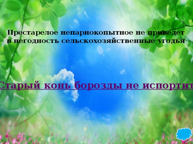 Престарелое непарнокопытное не приведет в негодность сельскохозяйственные угодья Старый конь борозды не испортит