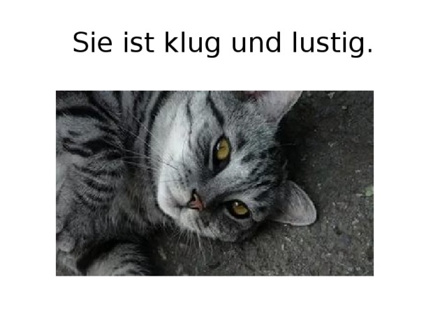 Sie ist klug und lustig.