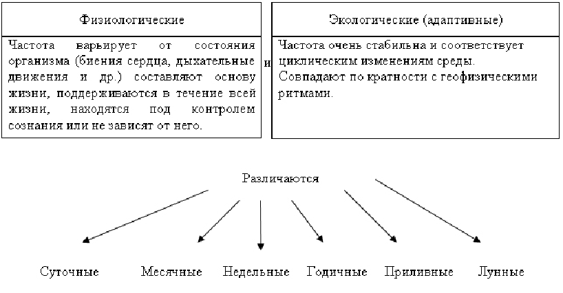 В тексте описана классификация биологических ритмов на основе текста заполни схему отражающую