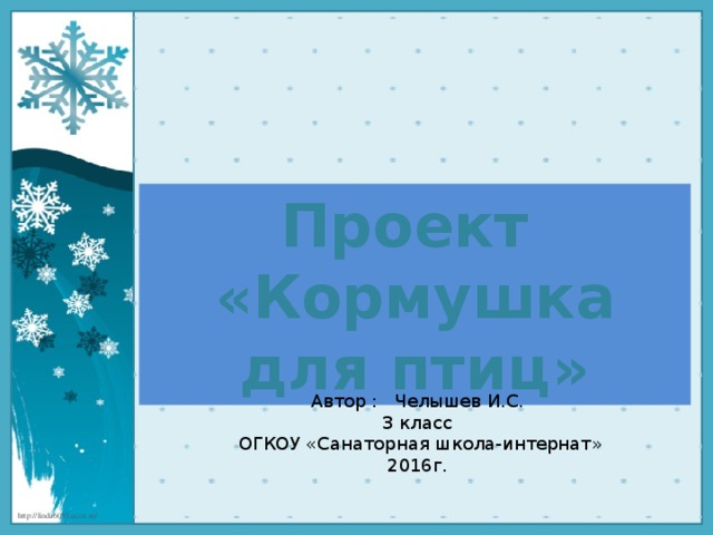 Проект «Кормушка для птиц» Автор : Челышев И.С. 3 класс  ОГКОУ «Санаторная школа-интернат» 2016г.