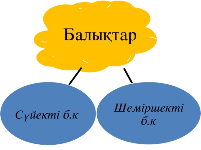 Балықтар Шеміршекті б.к Сүйекті б.к