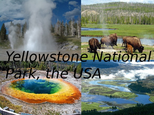 Yellowstone National Park, the USA