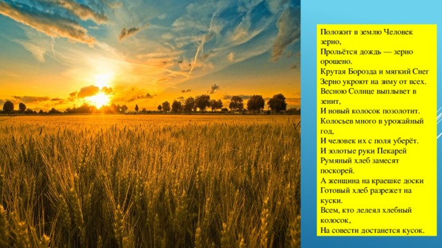 Положит в землю Человек зерно,  Прольётся дождь — зерно орошено.  Крутая Борозда и мягкий Снег  Зерно укроют на зиму от всех.  Весною Солнце выплывет в зенит,  И новый колосок позолотит.  Колосьев много в урожайный год,  И человек их с поля уберёт.  И золотые руки Пекарей  Румяный хлеб замесят поскорей.  А женщина на краешке доски  Готовый хлеб разрежет на куски.  Всем, кто лелеял хлебный колосок,  На совести достанется кусок.