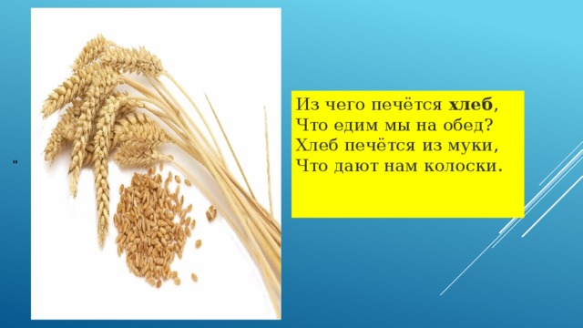 Из чего печётся  хлеб ,  Что едим мы на обед?  Хлеб печётся из муки,  Что дают нам колоски.    