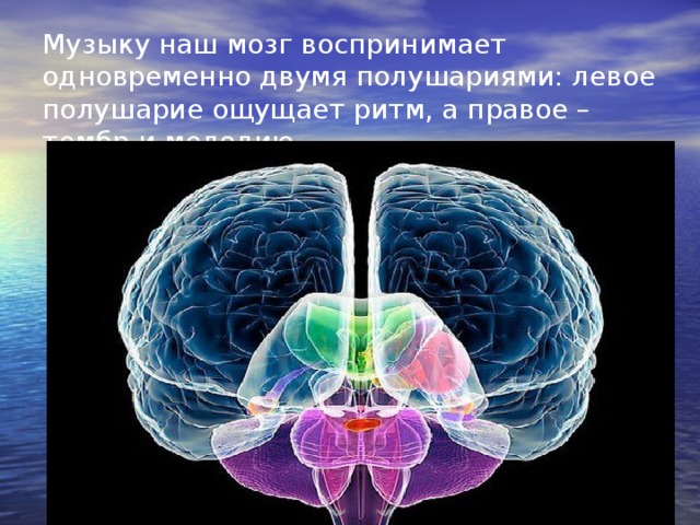 Музыку наш мозг воспринимает одновременно двумя полушариями: левое полушарие ощущает ритм, а правое – тембр и мелодию.