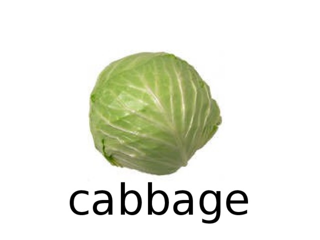 cabbage