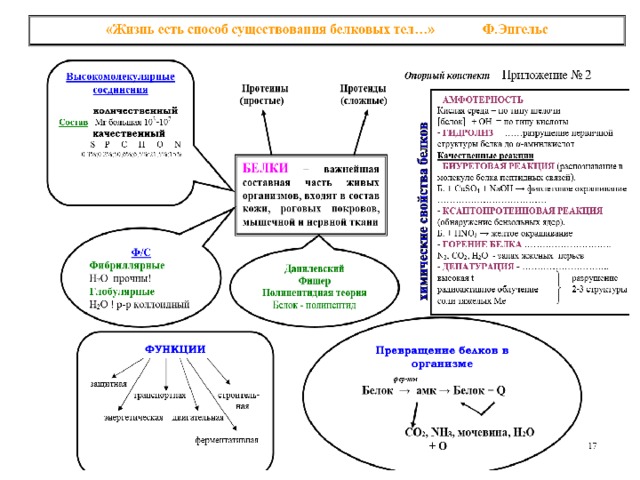 Урок химии белки 10 класс с презентацией