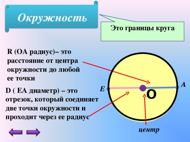 Окружность Это границы круга R (ОА радиус)– это расстояние от центра окружности до любой ее точки А А Е D ( ЕА диаметр) – это отрезок, который соединяет две точки окружности и проходит через ее радиус  О центр