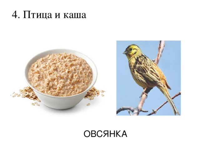 4. Птица и каша   ОВСЯНКА