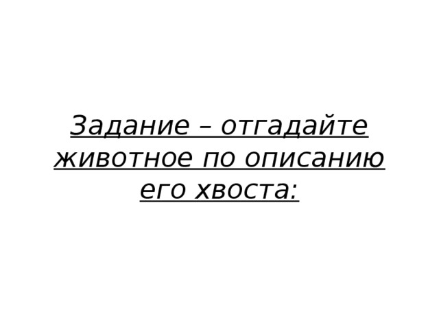 Задание – отгадайте животное по описанию его хвоста: